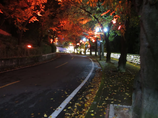 韓國大邱市 大邱塔 燈火璀璨夜色