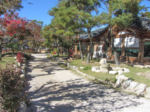 韓國慶州 山竹韓屋村 (산죽한옥마을 Sanjuk Hanok Village)