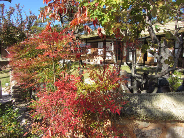 韓國慶州 山竹韓屋村 (산죽한옥마을 Sanjuk Hanok Village)