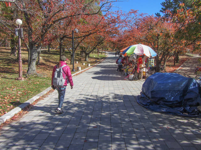 韓國慶州 佛國寺 秋天紅楓葉景色