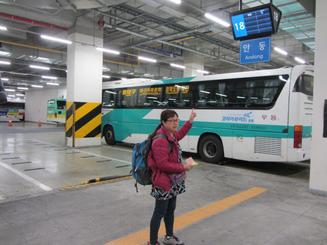 韓國東大邱客運站往安東 (안동 Andong) 高速巴士乘車站