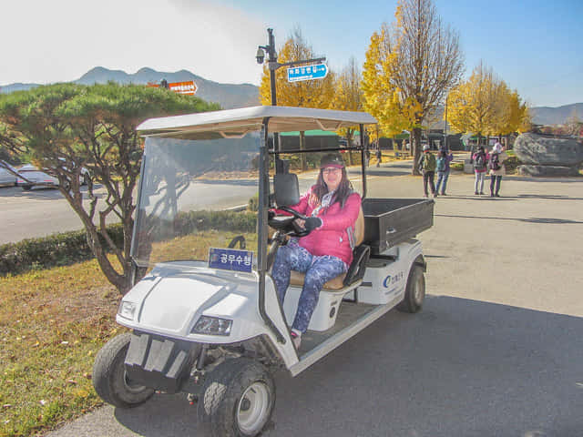 韓國安東河回村入口有小型出租車出租