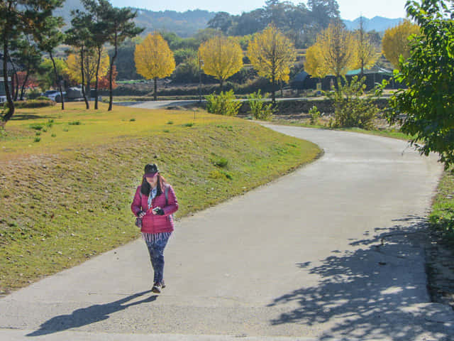 韓國安東河回村 洛東江畔風景