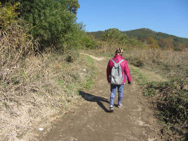 安東河回村 芙蓉台(부용대 Buyongdae) 登山路