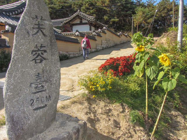 安東河回村 芙蓉台(부용대 Buyongdae) 登山路