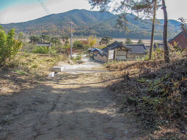 安東河回村 芙蓉台登山路