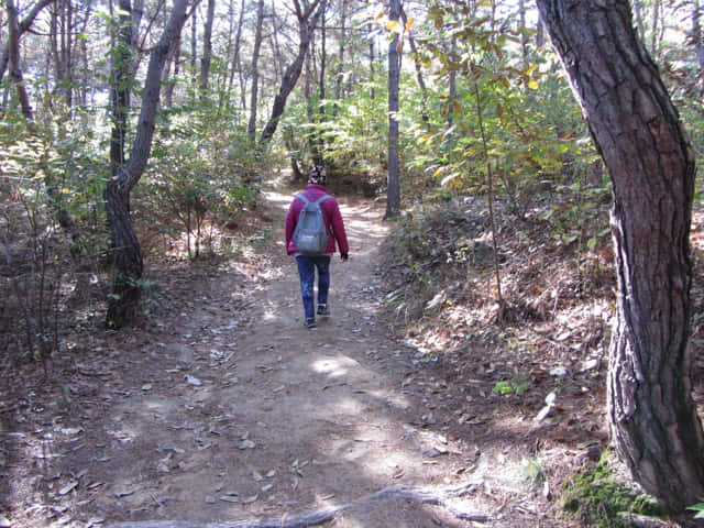 安東河回村 芙蓉台登山路