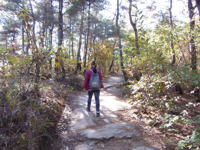 安東河回村 芙蓉台登山路