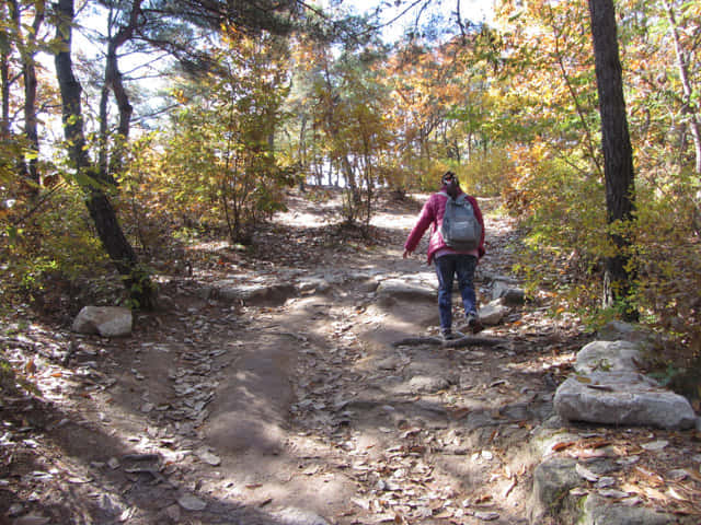 安東河回村 芙蓉台登山路