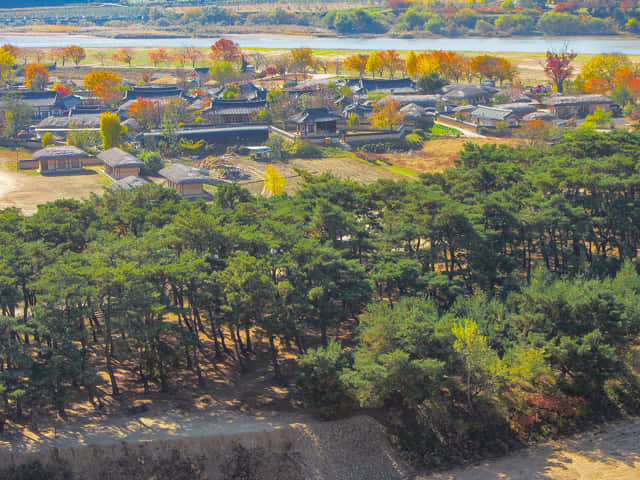 安東河回村 秋天優美景色