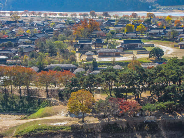 芙蓉台上眺望安東河回村