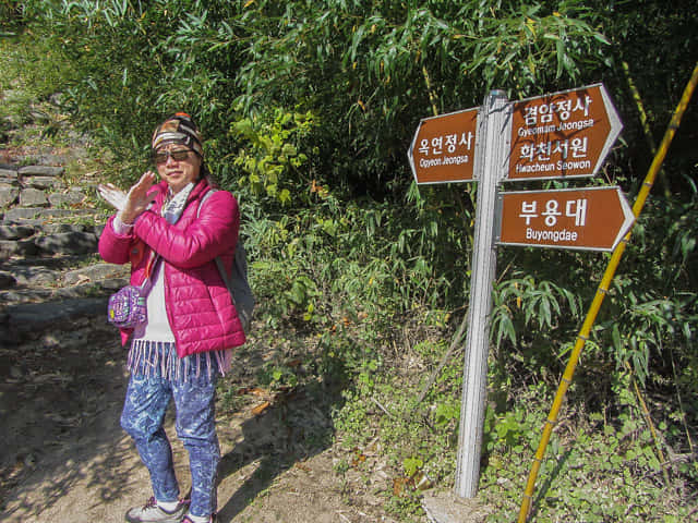 安東河回村 芙蓉台(부용대 Buyongdae)、玉淵精舍 (옥연정사 Ogyeon Jeongsa) 岔路口