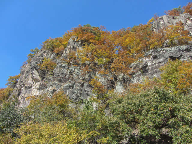 安東河回村 洛東江對岸的芙蓉台