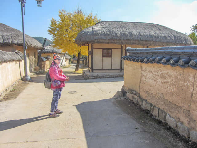 韓國安東河回村 茅草房子區