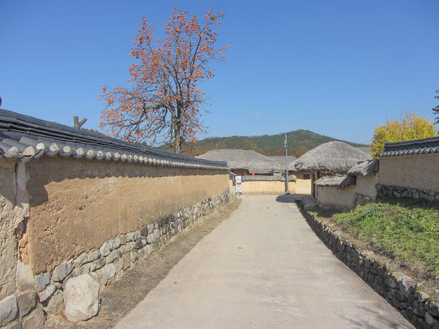 韓國安東河回村 古老大宅區