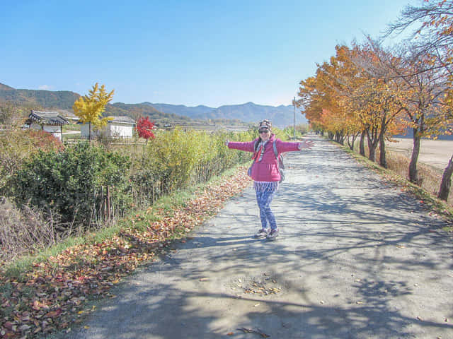 韓國安東河回村南面河堤