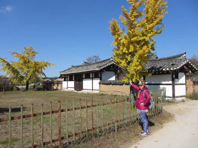 韓國安東河回村南面河堤畔房子