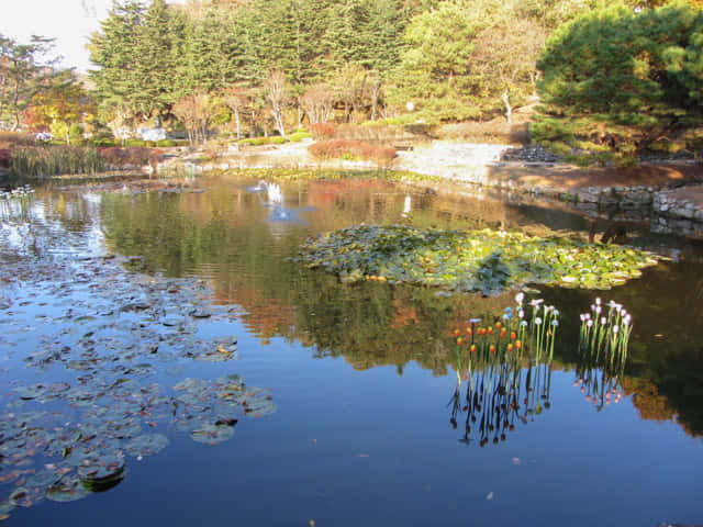 安東民俗村 (안동민속촌Andong Folk Village)