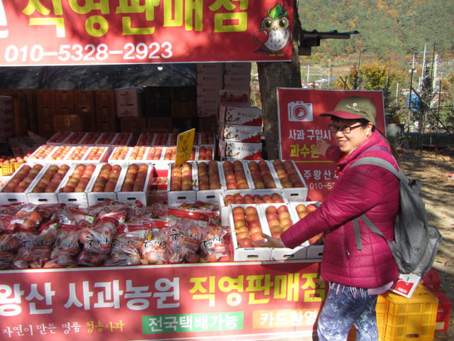 韓國 周王山登山口商店街 靑松郡蘋果