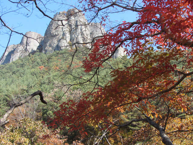 周王山國立公園健行步道 巨型嶙峋岩石地標