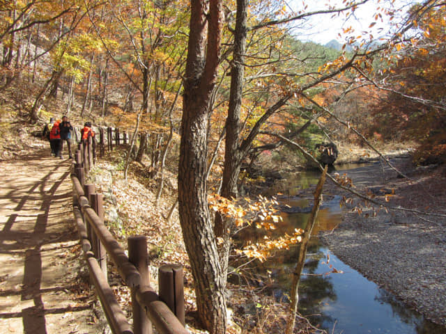 韓國周王山國立公園健行步道 秋天紅葉景色