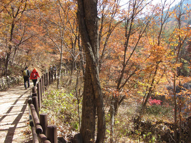 韓國周王山國立公園健行步道 秋天紅葉景色