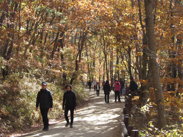 韓國周王山國立公園健行步道 秋天紅葉景色