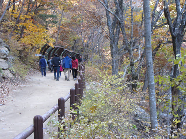 韓國周王山國立公園 秋天紅葉