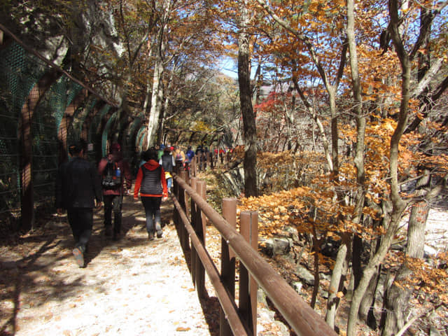 韓國周王山國立公園 秋天紅葉景色