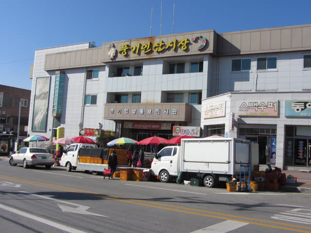 韓國榮州 豐基人參市場 (풍기토종인삼시장 Punggi Ginseng Market)