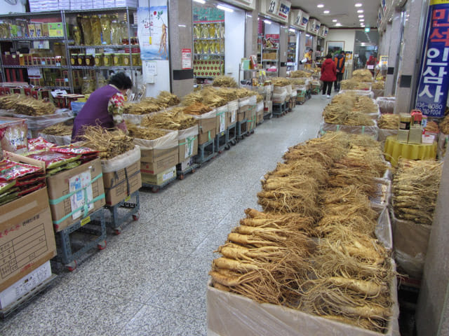 韓國榮州 豐基人參市場 (풍기토종인삼시장 Punggi Ginseng Market)