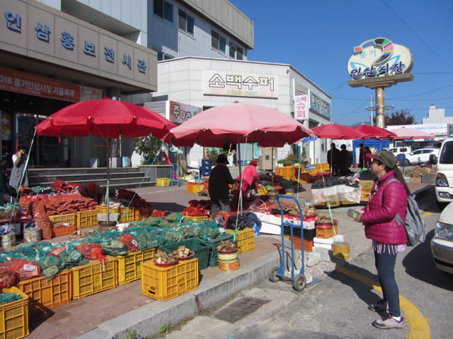 韓國榮州 豐基人參市場