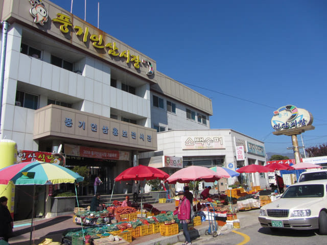 韓國榮州 豐基人參市場