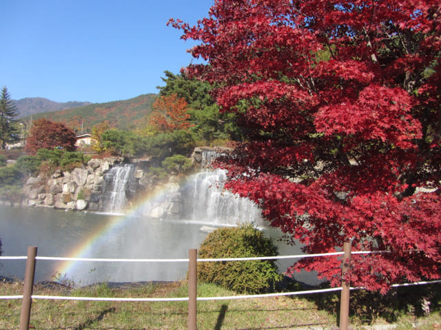 韓國榮州 浮石寺瀑布公園 秋天紅葉景色