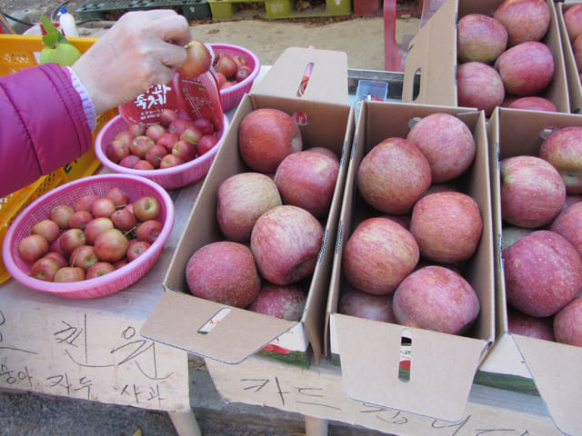 韓國榮州浮石寺登山口步道 攤販 蘋果