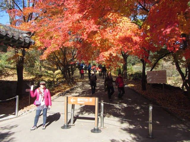 榮州 浮石寺(부석사) 購票處 紅葉