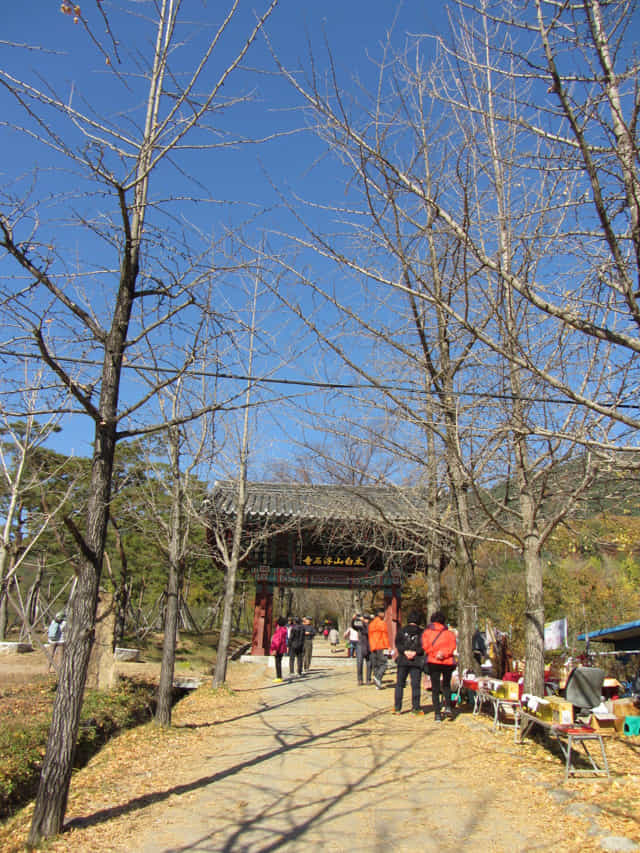 榮州 浮石寺入口 銀杏步道