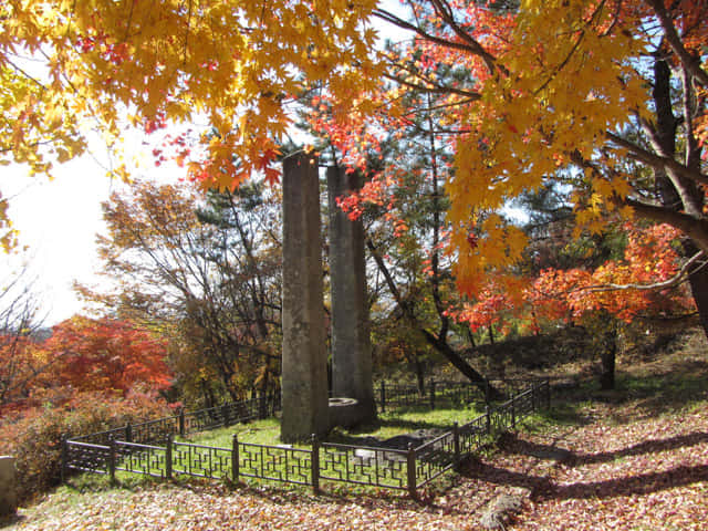 榮州 浮石寺入口 一柱門山門 銀杏步道