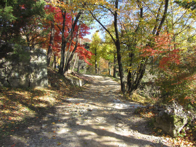 榮州浮石寺 秋天漂亮紅葉景色