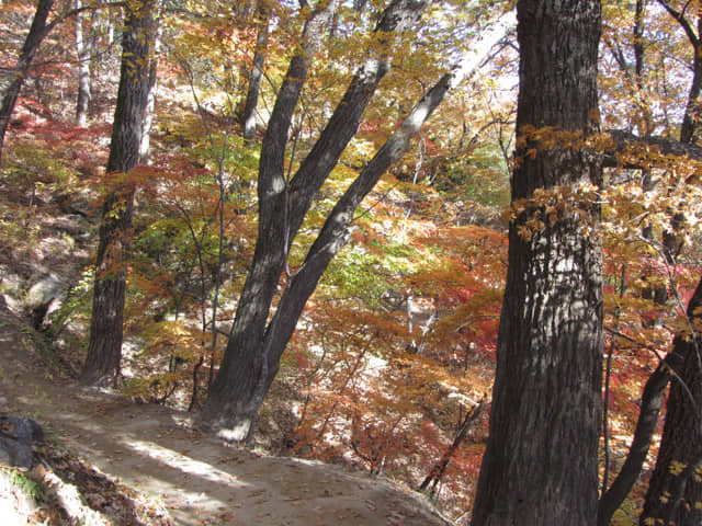 韓國榮州浮石寺 應真殿、慈忍堂登山路 秋天漂亮紅葉