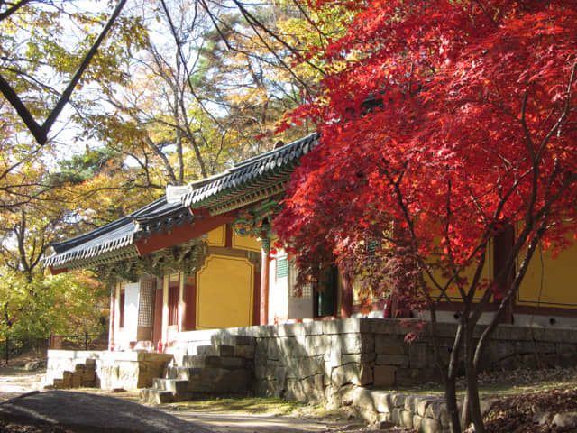 韓國榮州浮石寺 應真殿、慈忍堂
