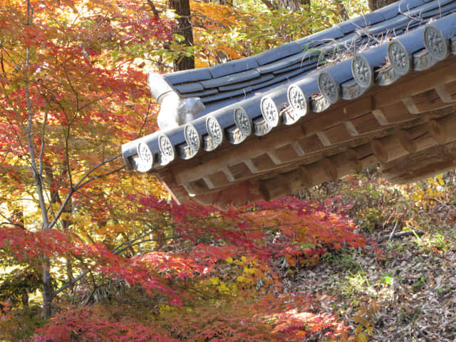 韓國 榮州浮石寺 祖師堂、醉玄庵 秋天紅葉景色