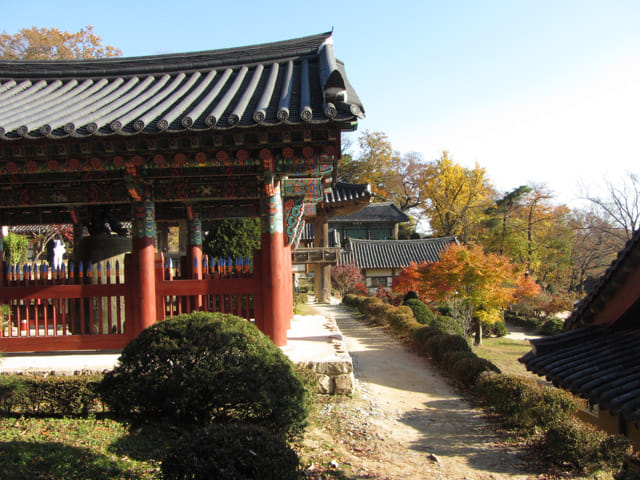 韓國榮州 浮石寺 秋天 黃銀杏、紅葉漂亮景色