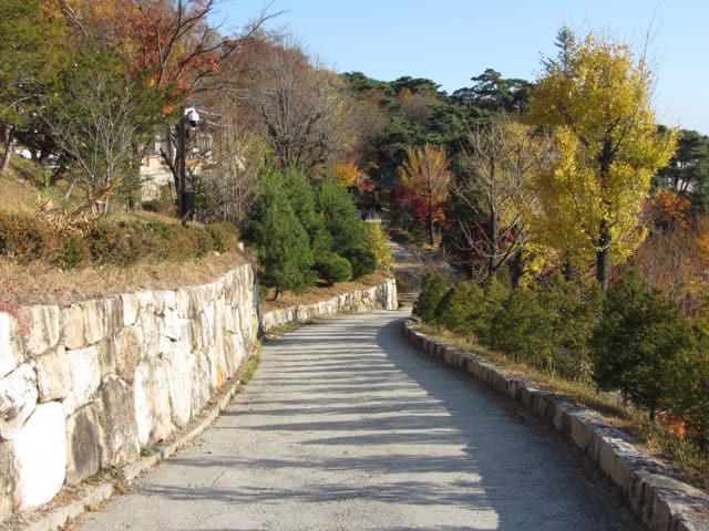 韓國榮州 浮石寺 秋天 黃銀杏、紅葉漂亮景色