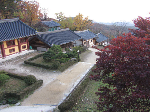 韓國榮州浮石寺 秋天紅葉、黃銀杏景色