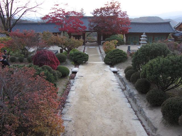 韓國榮州浮石寺 秋天紅葉、黃銀杏景色