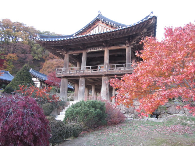 榮州浮石寺 梵鐘樓 (범종루) 秋天紅葉景色