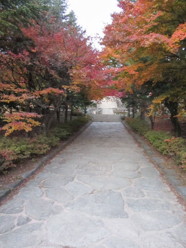 韓國榮州浮石寺 秋天紅葉、黃銀杏景色