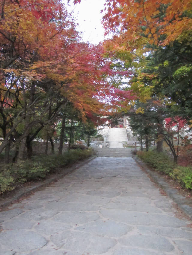 榮州浮石寺 秋天漂亮紅葉景色