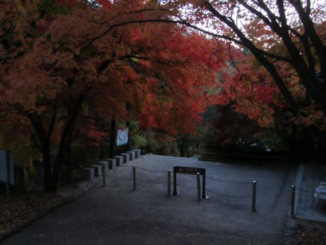 韓國榮州浮石寺 入口 購票處 晚上